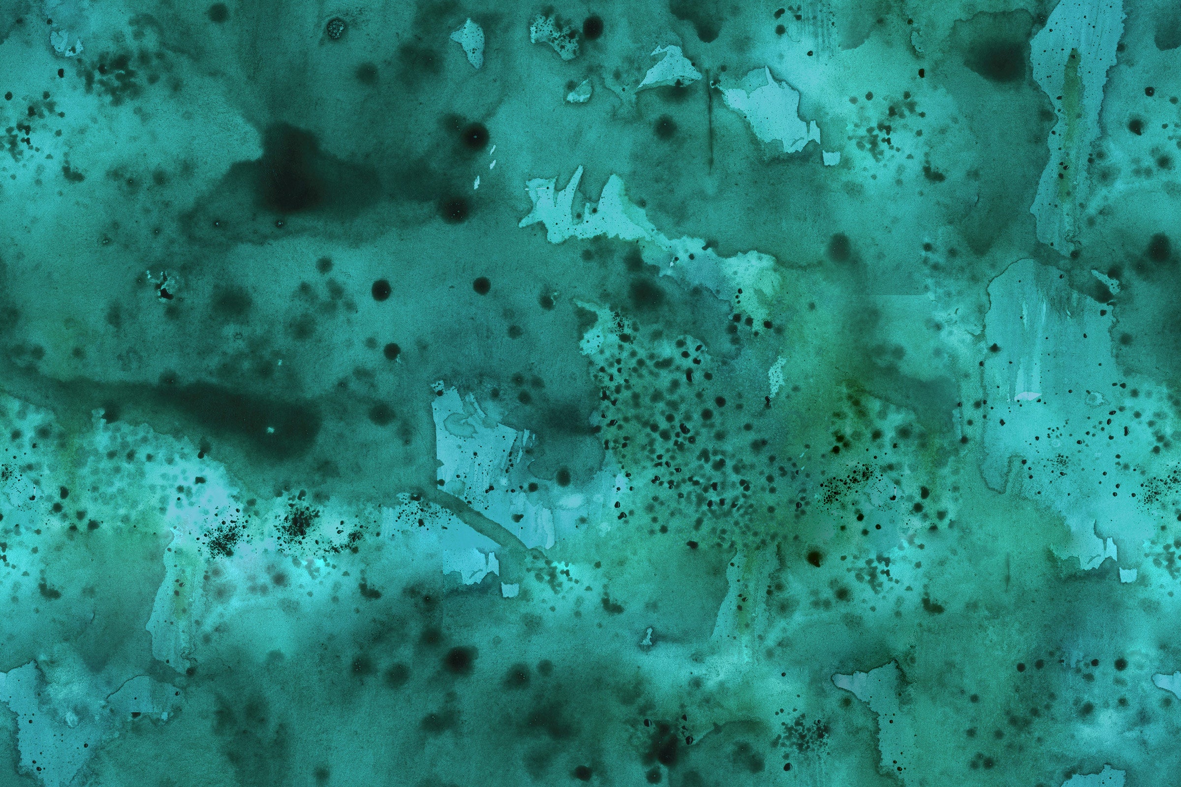 Fragancias Nicho, Árabes, y de diseñador ¿Qué son?